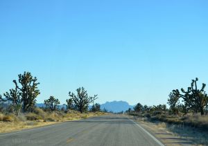 JKW_8606web Driving through the Mojave National Preserve.jpg